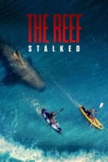 Nonton film The Reef: Stalked (2022) terbaru di Dutamovie21