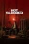 Nonton film Hot Blooded (2022) terbaru di Dutamovie21