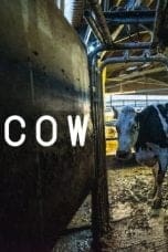 Nonton film Cow (2022) terbaru di Dutamovie21