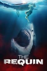 Nonton film The Requin (2022) terbaru di Dutamovie21