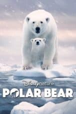 Nonton film Polar Bear (2022) terbaru di Dutamovie21