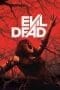 Nonton film Evil Dead (2013) terbaru di Dutamovie21