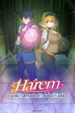 Nonton film Isekai Meikyuu de Harem wo (Harem in the Labyrinth of Another World) (2022) terbaru di Dutamovie21