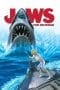 Nonton film Jaws: The Revenge (1987) terbaru di Dutamovie21