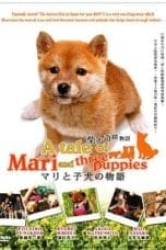 Nonton film A Tale of Mari and Three Puppies Part2 (2007) terbaru di Dutamovie21