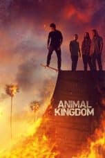 Nonton film Animal Kingdom (2016) terbaru di Dutamovie21