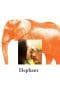 Nonton film Elephant (2003) terbaru di Dutamovie21