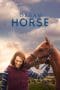 Nonton film Dream Horse (2021) terbaru di Dutamovie21