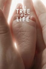 Nonton film The Tree of Life (2011) terbaru di Dutamovie21