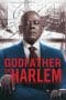 Nonton film Godfather of Harlem Season 2 (2021) terbaru di Dutamovie21