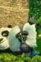 Nonton film Kung Fu Panda: The Dragon Knight Season 3 Episode 4 terbaru di Dutamovie21