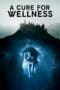 Nonton film A Cure for Wellness (2017) terbaru di Dutamovie21