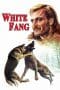 Nonton film White Fang (1973) terbaru di Dutamovie21