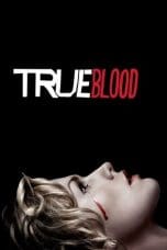 Nonton film True Blood Season 1-7 (2008-2014) terbaru di Dutamovie21