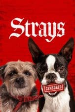 Nonton film Strays (2023) terbaru di Dutamovie21