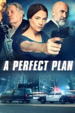 Nonton film A Perfect Plan (2020) terbaru di Dutamovie21