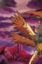 Nonton film Digimon Tamers Season 1 Episode 37 terbaru di Dutamovie21