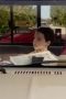 Nonton film Young Sheldon Season 1 Episode 5 terbaru di Dutamovie21