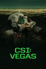 Nonton film CSI: Vegas Season 3 (2024) terbaru di Dutamovie21