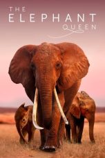 Nonton film The Elephant Queen (2019) terbaru di Dutamovie21