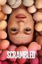 Nonton film Scrambled (2024) terbaru di Dutamovie21