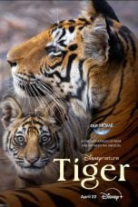 Nonton film Tiger (2024) terbaru di Dutamovie21