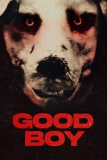 Nonton film Good Boy (2022) terbaru di Dutamovie21