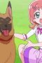 Nonton film Wonderful Precure! Season 1 Episode 35 terbaru di Dutamovie21