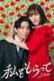 Nonton film Watashi wo Moratte Season 2 (Take Me) (2024) terbaru di Dutamovie21